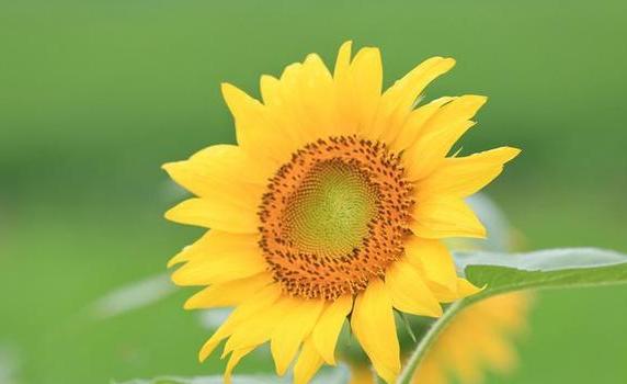 捨不得吃捨不得穿,總想把最好的留給孩子,為子女而活的三生肖男 捨不得吃捨不得穿,總想把最好的留給孩子,為子女而活的三生肖男