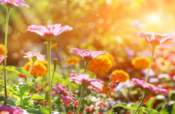 《增廣賢文》中關於調節心態的9句話