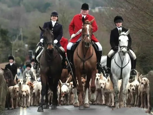 老英國的泡尿大衣 老英國的泡尿大衣