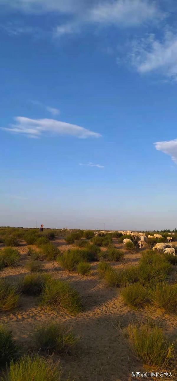 靠養殖到底能不能致富？江豔實話實說，再聽聽她的致富經