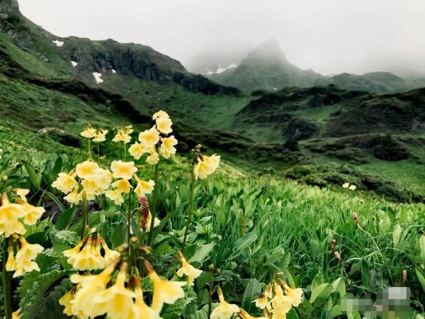 天使居住的地方——香格里拉