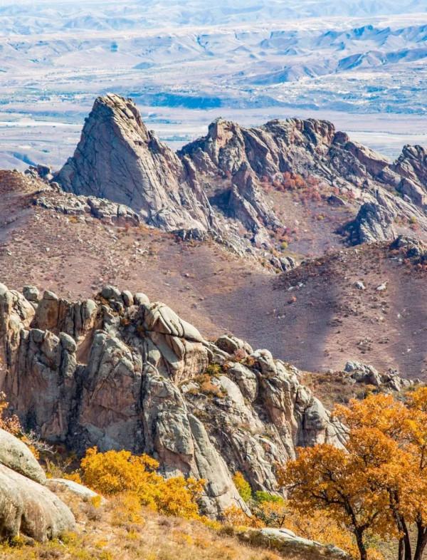 成年人玩得這麼野，小心把命都玩丟了