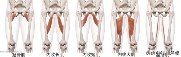 大腿粗想速瘦?過年來個質的變化!狂練內收肌就夠了 大腿粗想速瘦?過年來個質的變化!狂練內收肌就夠了