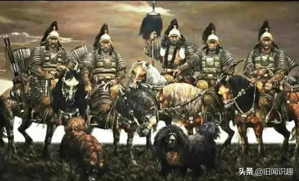 北方的狼族之蒙古狼