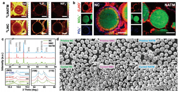 一種無鈷無錳的高鎳層狀氧化物正極材料