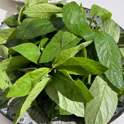 做法簡單零失敗的養生菜清炒觀音菜素菜家常菜