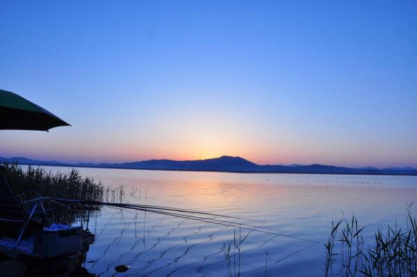野釣經驗談之一 春天更要釣草 論釣草的重要性 野釣經驗談之一 春天更要釣草 論釣草的重要性