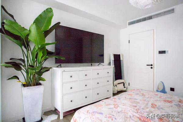 6種大型盆栽，客廳養一盆，吸收&OpenCurlyDoubleQuote;廢氣&rdquo;製氧氣，寓意好能旺家