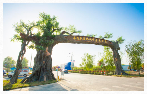 隱形城市冠軍丨這座無名小城,憑什麼成為中醫藥之都? 隱形城市冠軍丨這座無名小城,憑什麼成為中醫藥之都?