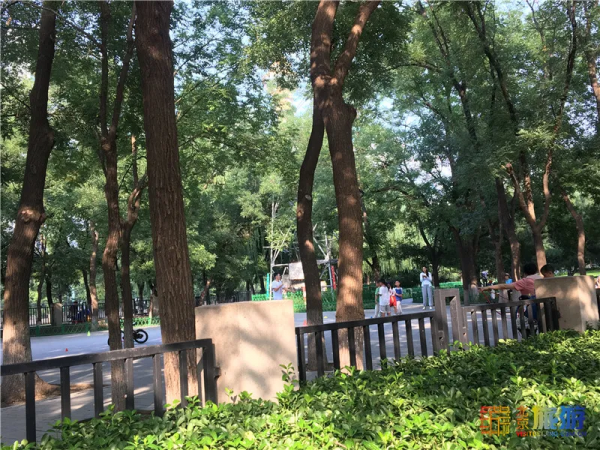 免費!這幾個公園風景如畫,還有竹林、大草坪~ 免費!這幾個公園風景如畫,還有竹林、大草坪~