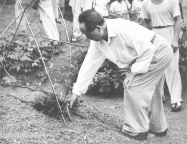 1959年毛主席回到韶山,會見親友時緊皺眉頭:怎麼沒請來毛碧珠? 1959年毛主席回到韶山,會見親友時緊皺眉頭:怎麼沒請來毛碧珠?