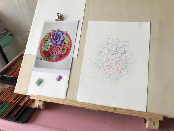 多肉植物彩鉛畫全過程(1-1) 多肉植物彩鉛畫全過程(1-1)