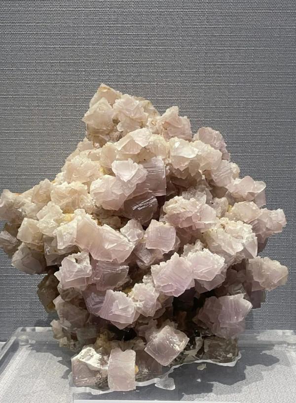 今天,邀請你一起去湖南省地質博物館,看萬物征途 今天,邀請你一起去湖南省地質博物館,看萬物征途