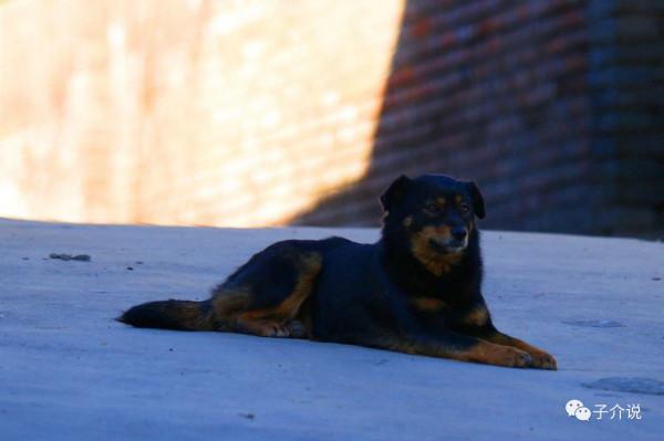 鄉愁 - 板裕村的黃昏