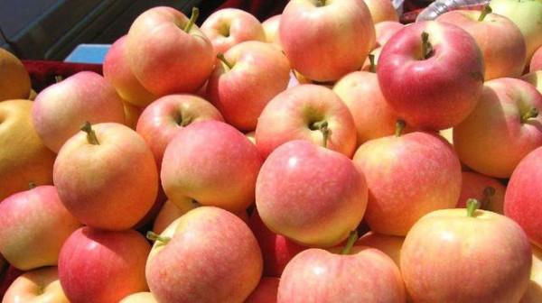 立秋後常吃水果有益處：“5多吃、1少吃”要牢記，合理攝入更健康