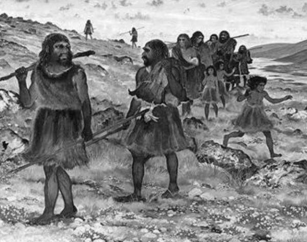 人類還是獵食動物嗎?營養級不足2.5,在鳳尾魚和豬之間!真的嗎 人類還是獵食動物嗎?營養級不足2.5,在鳳尾魚和豬之間!真的嗎