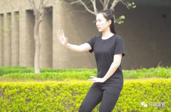 軒轅談形意五行拳例項 軒轅談形意五行拳例項