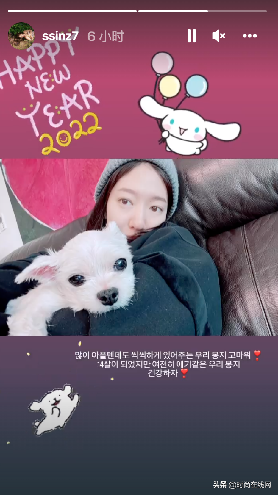 樸信惠孕期曬自拍狀態好 懷抱寵物狗面色紅潤