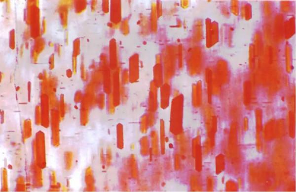 堇青石的鑑定---王建泉