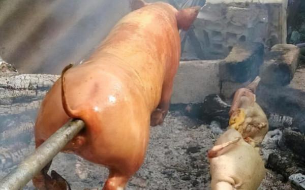 你不知道的國際冷知識(幾內亞篇) 你不知道的國際冷知識(幾內亞篇)