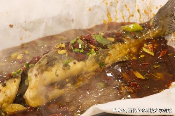 央視“點名”關注!陝西這所高校的全魚宴、巧克力饅頭饞哭網友 央視“點名”關注!陝西這所高校的全魚宴、巧克力饅頭饞哭網友