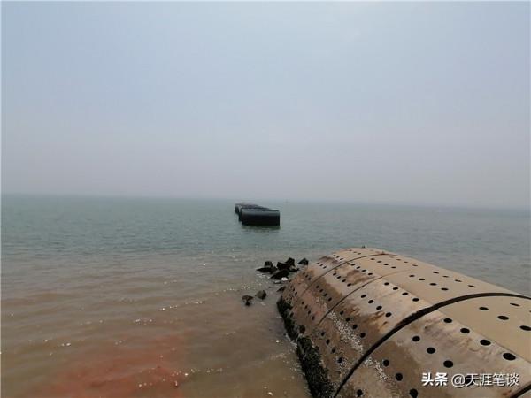 塘沽免費公園值得遊，順其自然地體驗，領略不一樣風景