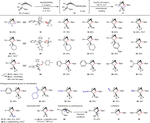 遇水架橋—分子內偶聯合成多取代雙環烷基硼酸酯
