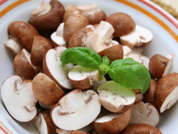 這6種常見的食物,或是提高免疫力的“小幫手”,愛吃的人真有福 這6種常見的食物,或是提高免疫力的“小幫手”,愛吃的人真有福