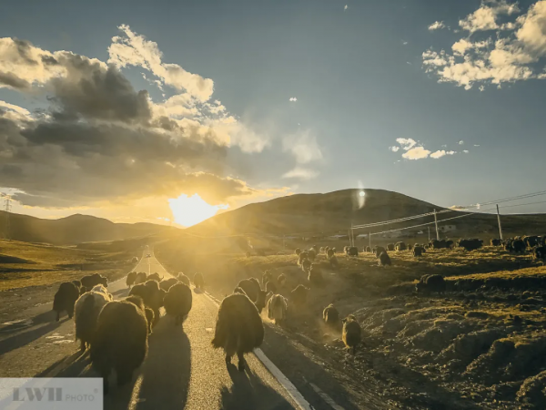 兩個人，一輛車，阿里北線無人區穿越