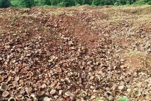 不是所有的兔毫都是普品,這樣的兔毫價值不菲,名列前茅 不是所有的兔毫都是普品,這樣的兔毫價值不菲,名列前茅