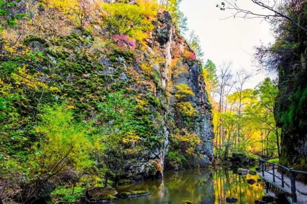 中國秋色正在上演!這9條自駕線,帶你領略不一樣的秋色 中國秋色正在上演!這9條自駕線,帶你領略不一樣的秋色