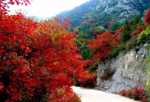 祖國最美的150座秀美名山