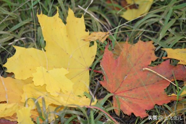 接受自己的不完美