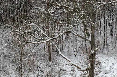 因不願面對投降的事實，兩名日軍在投降儀式前夕逃入深山