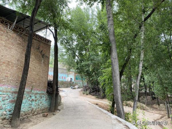 呂梁山偏遠山村的真實現狀——山西省汾陽市前莊村 呂梁山偏遠山村的真實現狀——山西省汾陽市前莊村