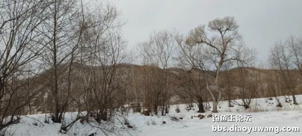 迴歸河山，收穫翻番