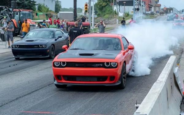 車上帶土豆需要登記？這個世界有哪些奇葩的法律