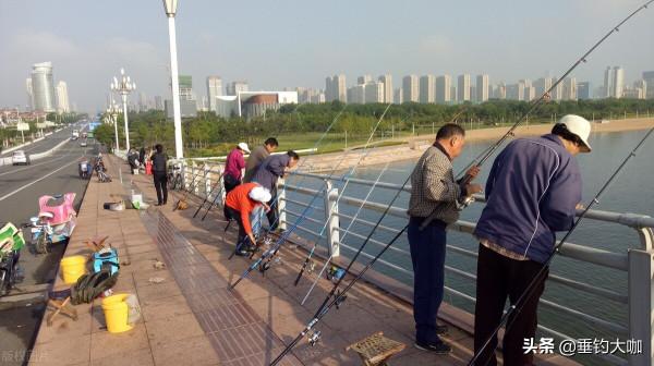 傳統釣長竿短線，多短才是短？3種長度，最短不足2米