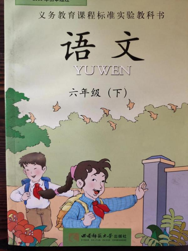 恐龍正在我們的頭上飛