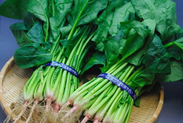 冬季面板乾燥老得快,不差錢的話多吃這5種食物,氣色紅潤顯年輕 冬季面板乾燥老得快,不差錢的話多吃這5種食物,氣色紅潤顯年輕