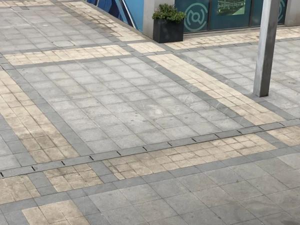 魔都名校被舉報，我卻等著娃開竅