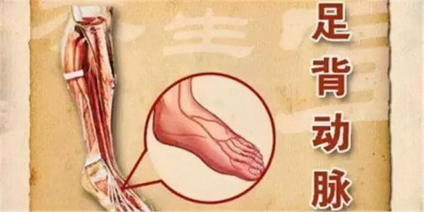 血管不好,看腳先知!伸出腳背,五秒鐘判斷血管基本狀況 血管不好,看腳先知!伸出腳背,五秒鐘判斷血管基本狀況