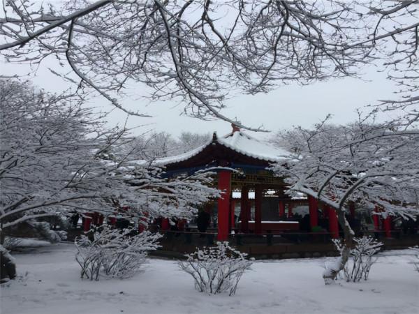 北京一處“冷門”公園，小巧雅緻私藏絕美秋景，人少景美門票免費