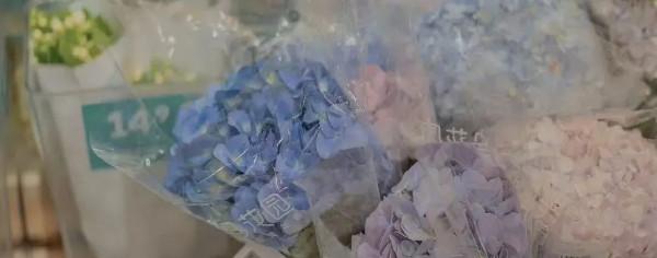 坐錯車和錯過車哪個更遺憾? 坐錯車和錯過車哪個更遺憾?