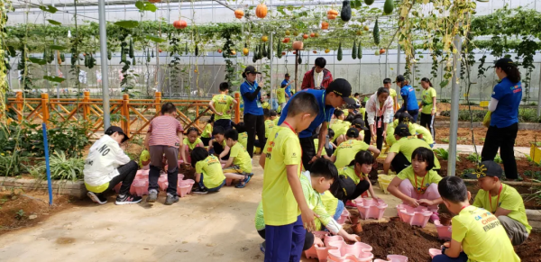 【國家AAA級景區】騰衝鑫和園景區