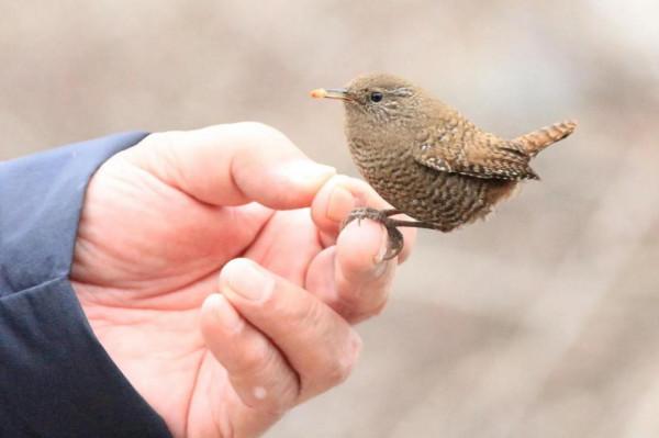 淵源共生，和諧共融