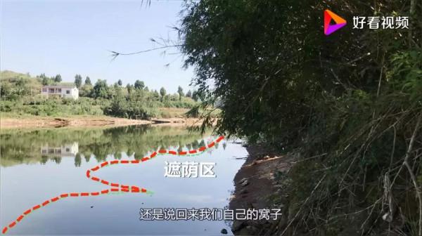 野釣不能錯過的10種絕佳釣位