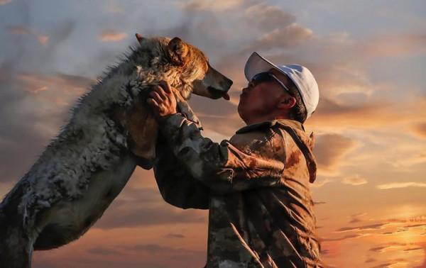 東北獵人抓到懷孕母狼，不忍傷害將它放生，結局讓人意想不到
