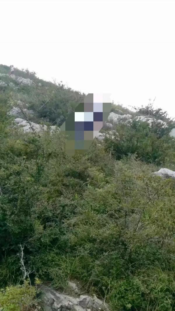 爬野山的樂趣——小記富平明月山