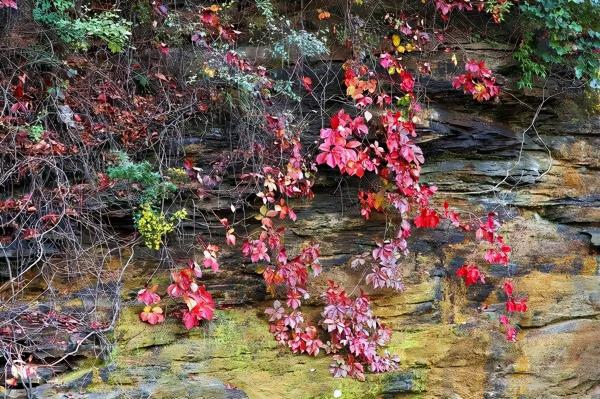 公路之旅！秋意濃，房山紅 | 快來解鎖貫穿美景的靈魂公路